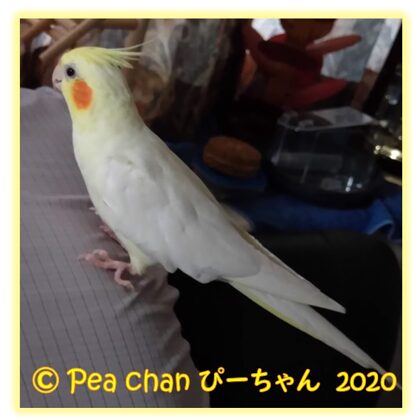 2020年7月