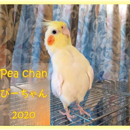 2020年10月