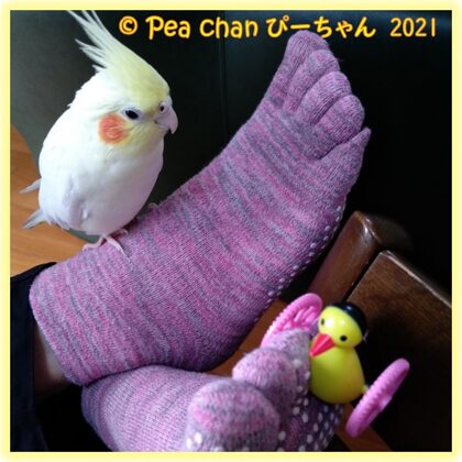 2021年2月
