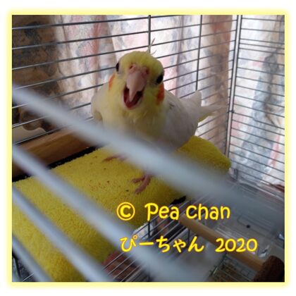 2020年8月
