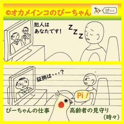 オカメインコ・ぴーちゃんの仕事