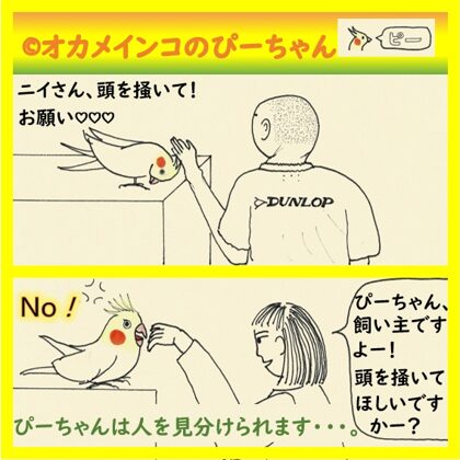 相手によって態度を変えるぴーちゃん