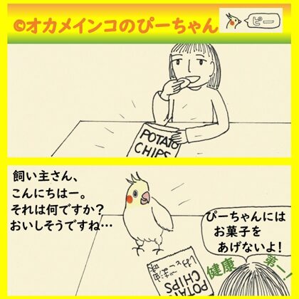 ポテトチップス
