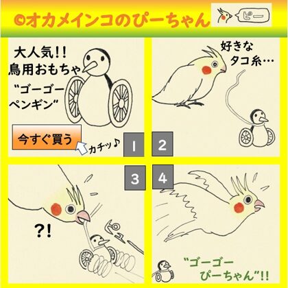 ゴーゴーペンギンとオカメインコのぴーちゃん
