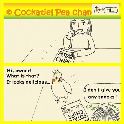 potato chips