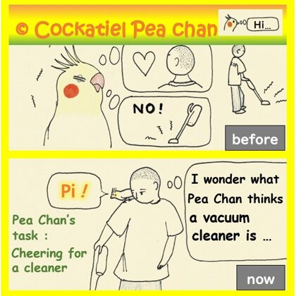cleaning