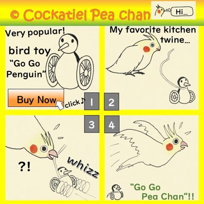 go go penguin with the cockatiel Pea Chan