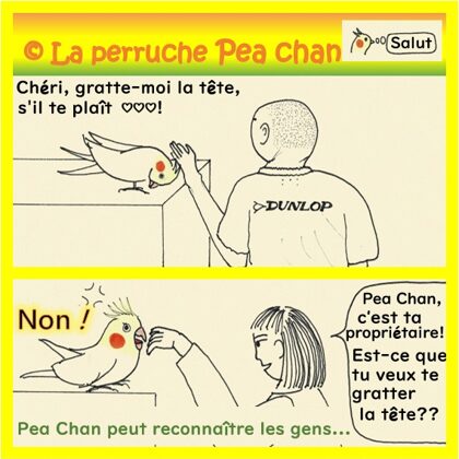 La différence d'attitude