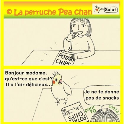 pommes chips