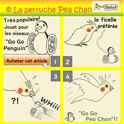 go go penguin avec la perruche calopsitte Pea Chan