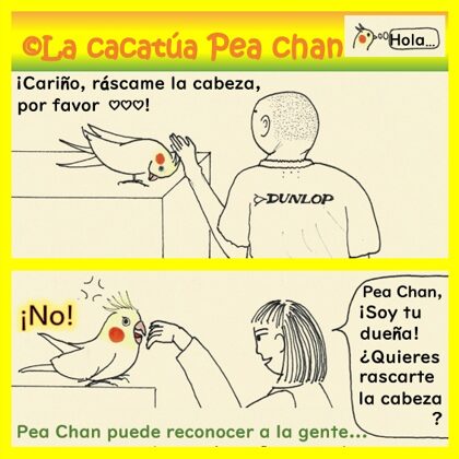la diferencia de actitud