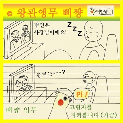 왕관앵무 삐쨩  임무