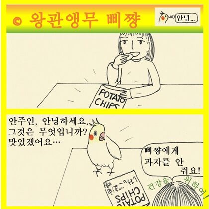 왕관앵무 삐쨩  과자