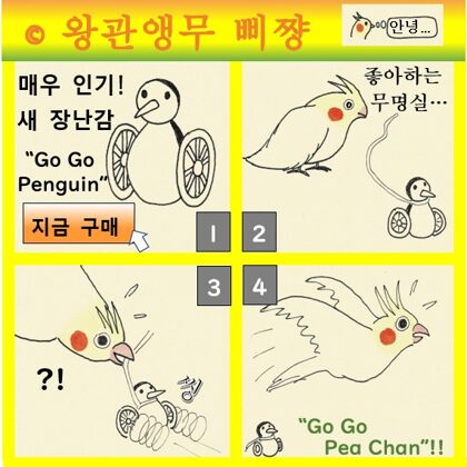 왕관앵무 삐쨩  Go Go Penguin