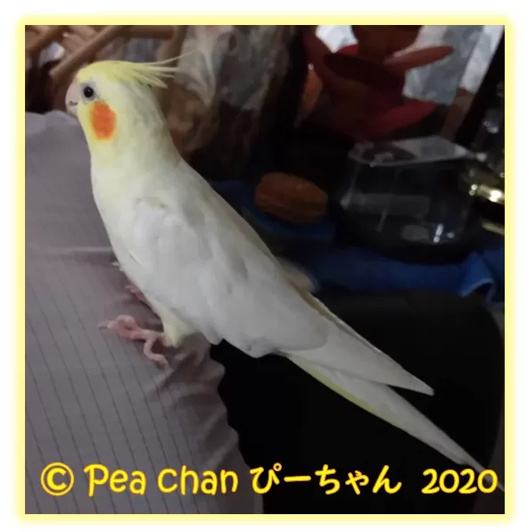 2020年7月