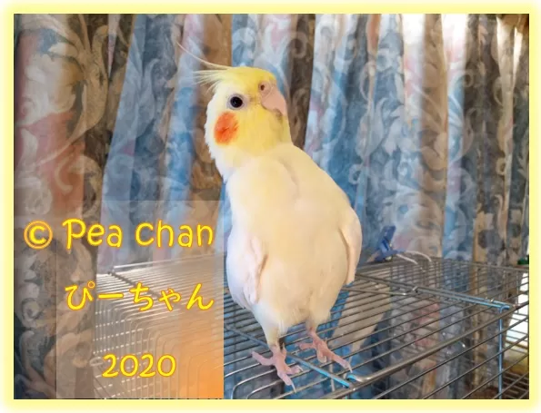 2020.10