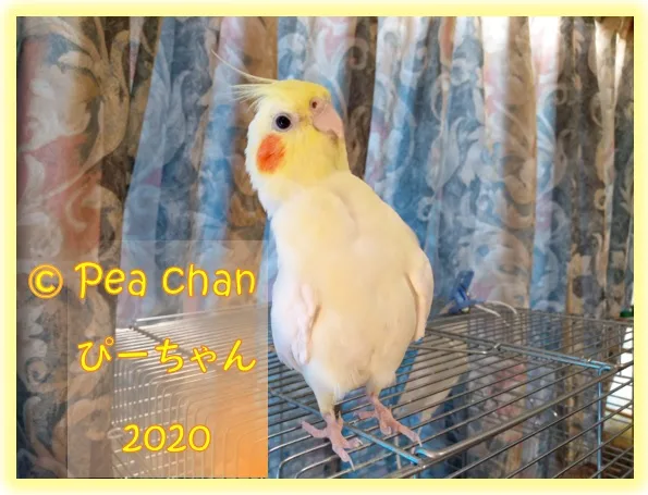 octubre 2020