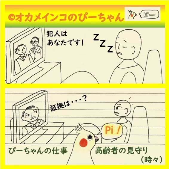 オカメインコ・ぴーちゃんの仕事