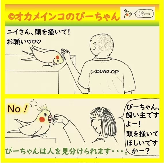 相手によって態度を変えるぴーちゃん
