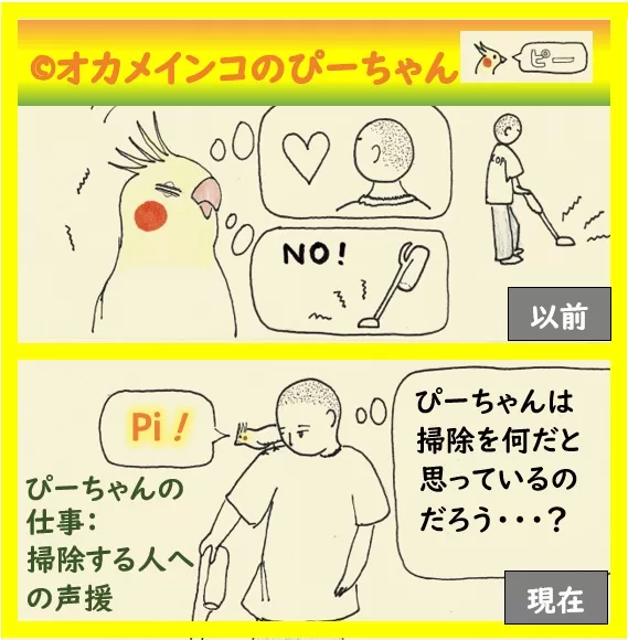 掃除
