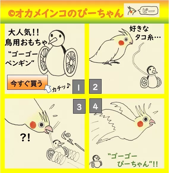 ゴーゴーペンギンとオカメインコのぴーちゃん