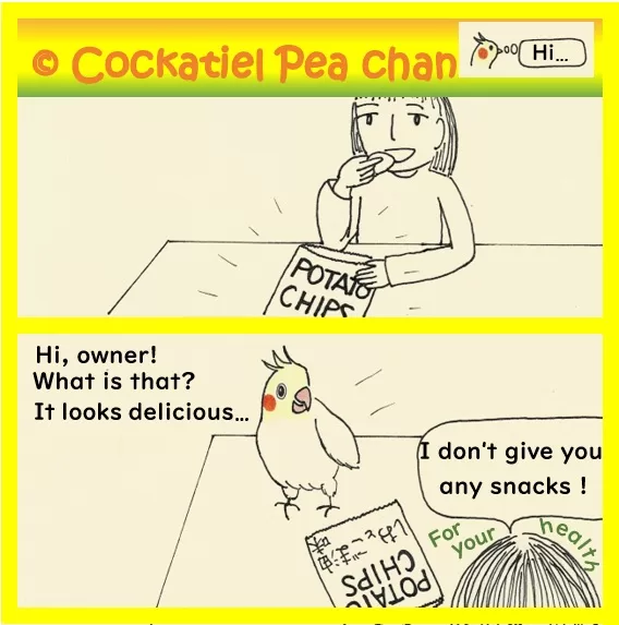 potato chips