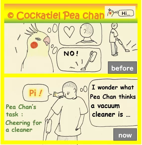 cleaning