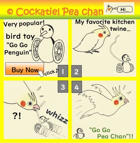 go go penguin with the cockatiel Pea Chan