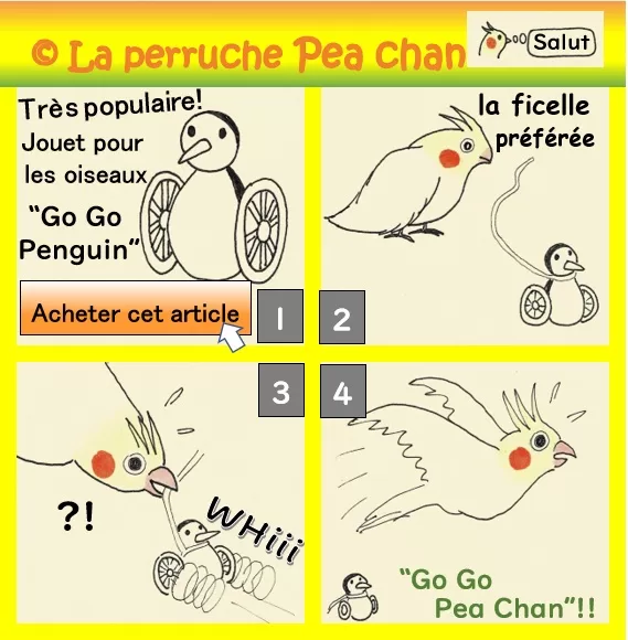 go go penguin avec la perruche calopsitte Pea Chan