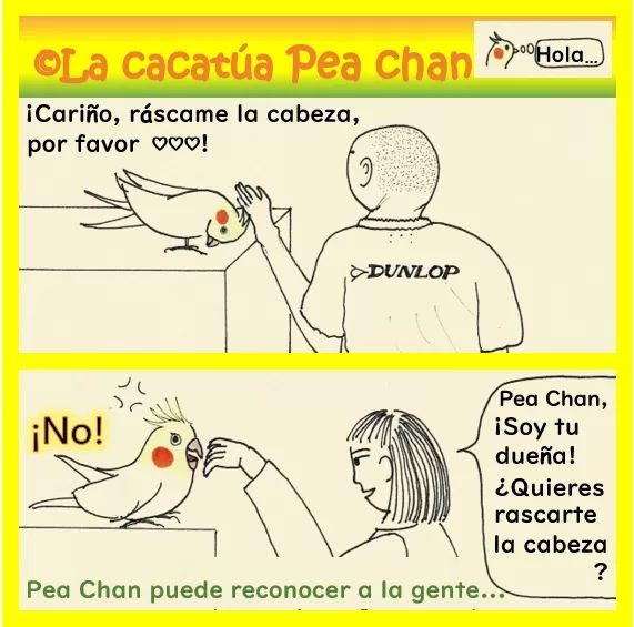 la diferencia de actitud