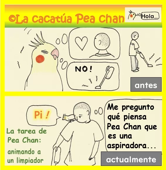 limpieza
