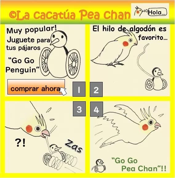 go go penguin con la cacatúa ninfa Pea Chan