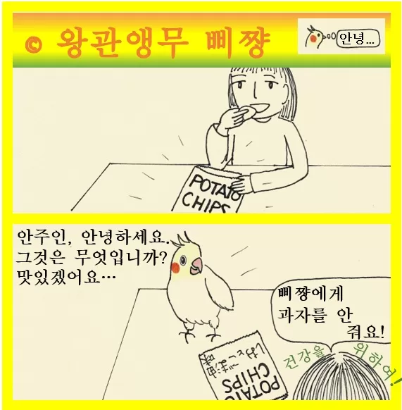 왕관앵무 삐쨩  과자