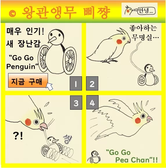 왕관앵무 삐쨩  Go Go Penguin